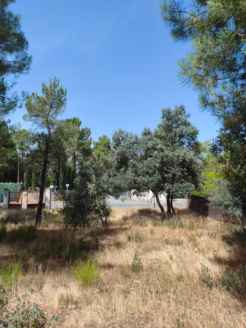 Terreny residencial en venda a Calle de los Abetos 106, imagen 3