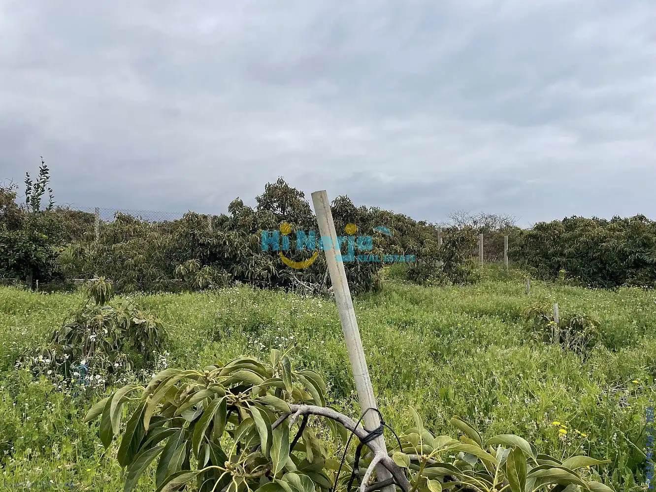 Casa en venta en Centro, imagen 4