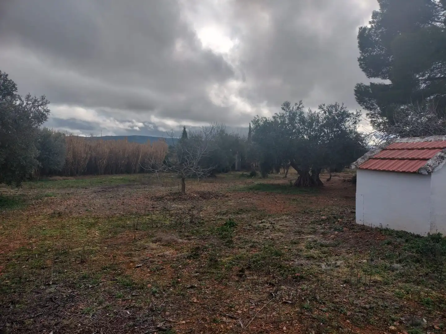 Finca rústica en venta en Argamasilla de Calatrava