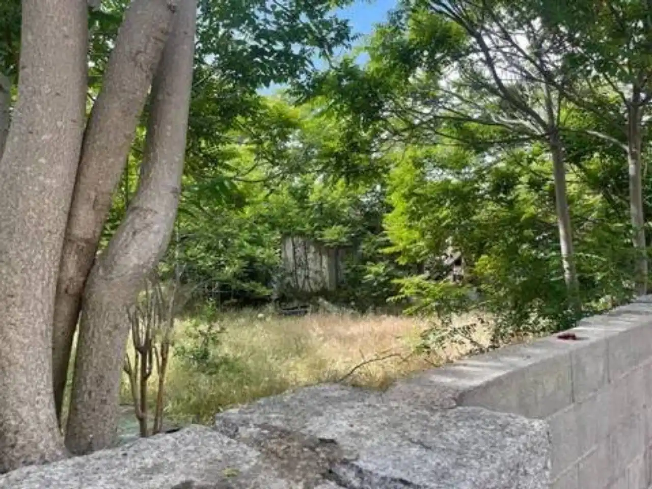 Villa à vendre à Villalba Pueblo, imagen 15