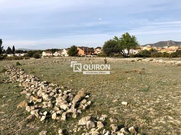 Terreno rustico in vendita a Sant Jaume dels Domenys