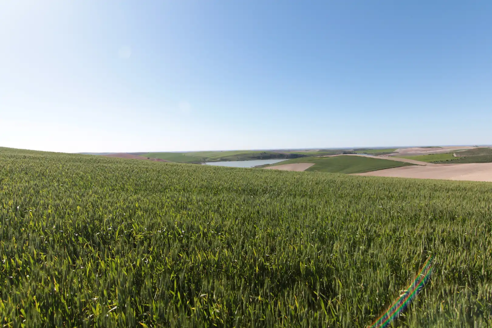 Terreno en venta en Utrera