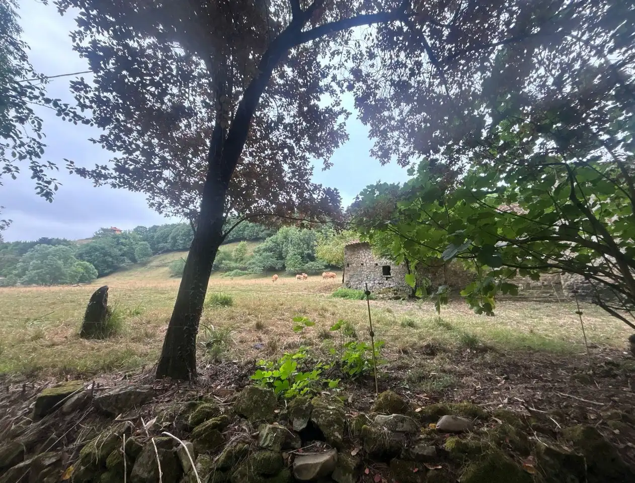 Finca rústica en venda en Gijón  amb Jardí privat