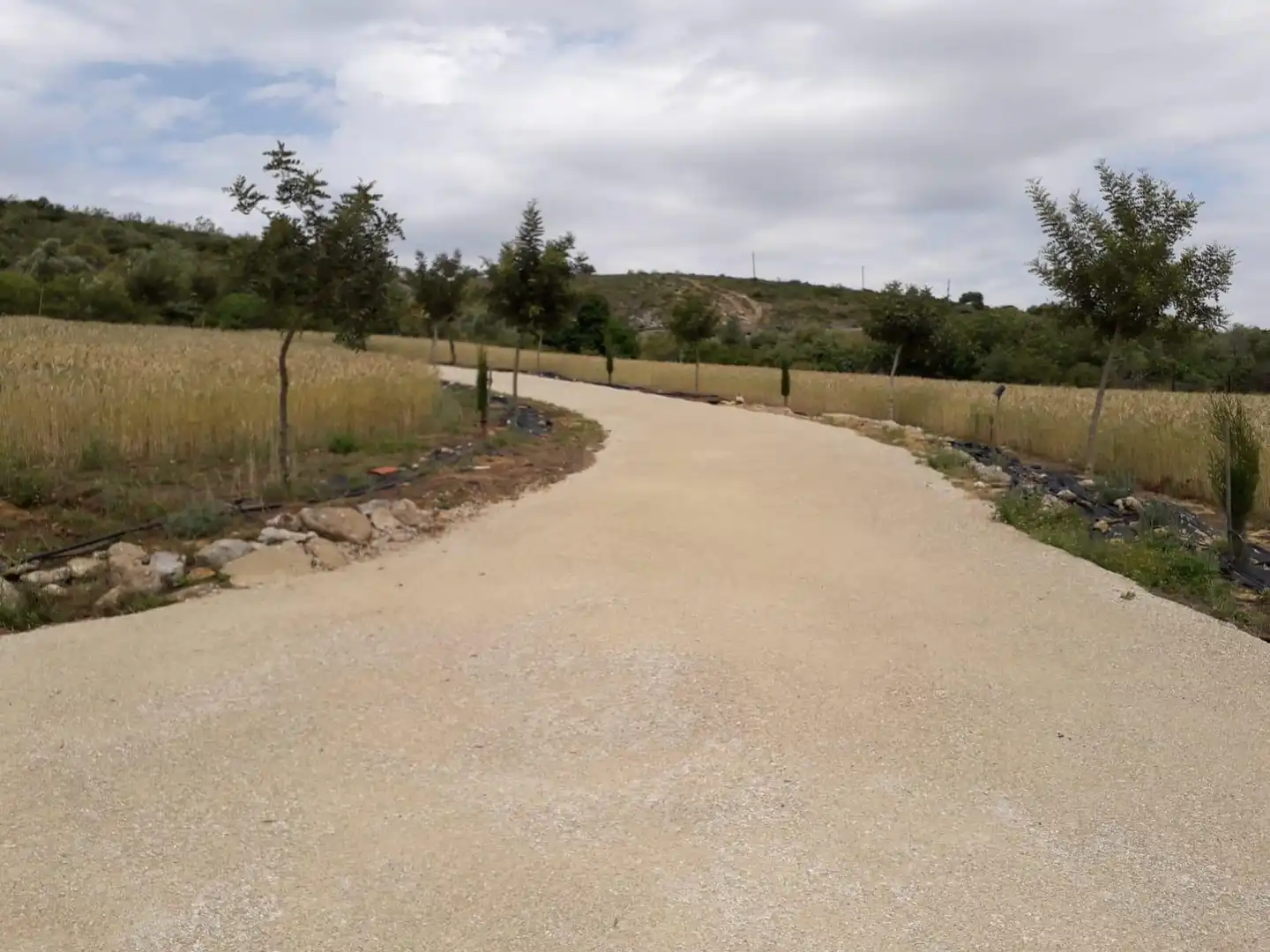 House for sale in Bornos, imagen 12