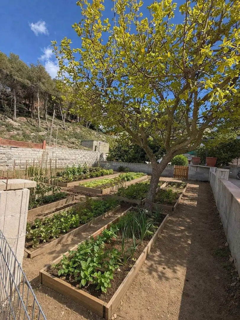 Casa amb terrassa en venda a Cabrera d'Anoia, imagen 38