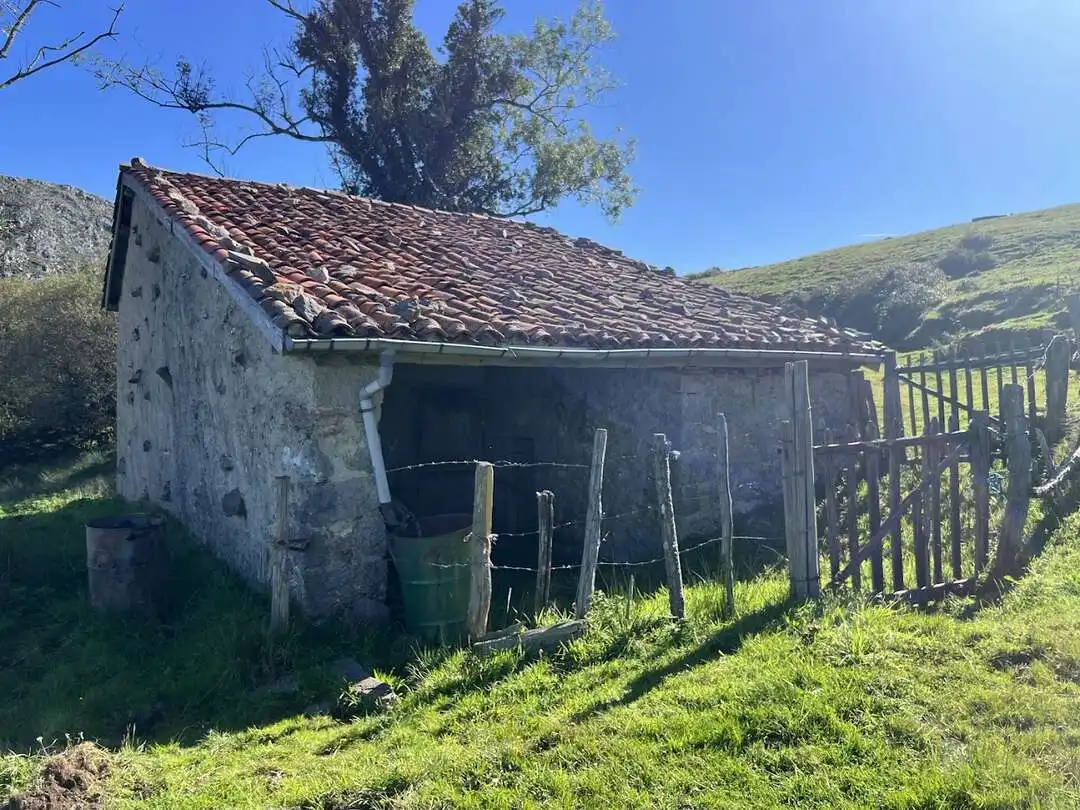 Maison à vendre à Nava, imagen 6