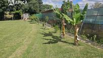 Land for sale in Los Barrios, imagen 2