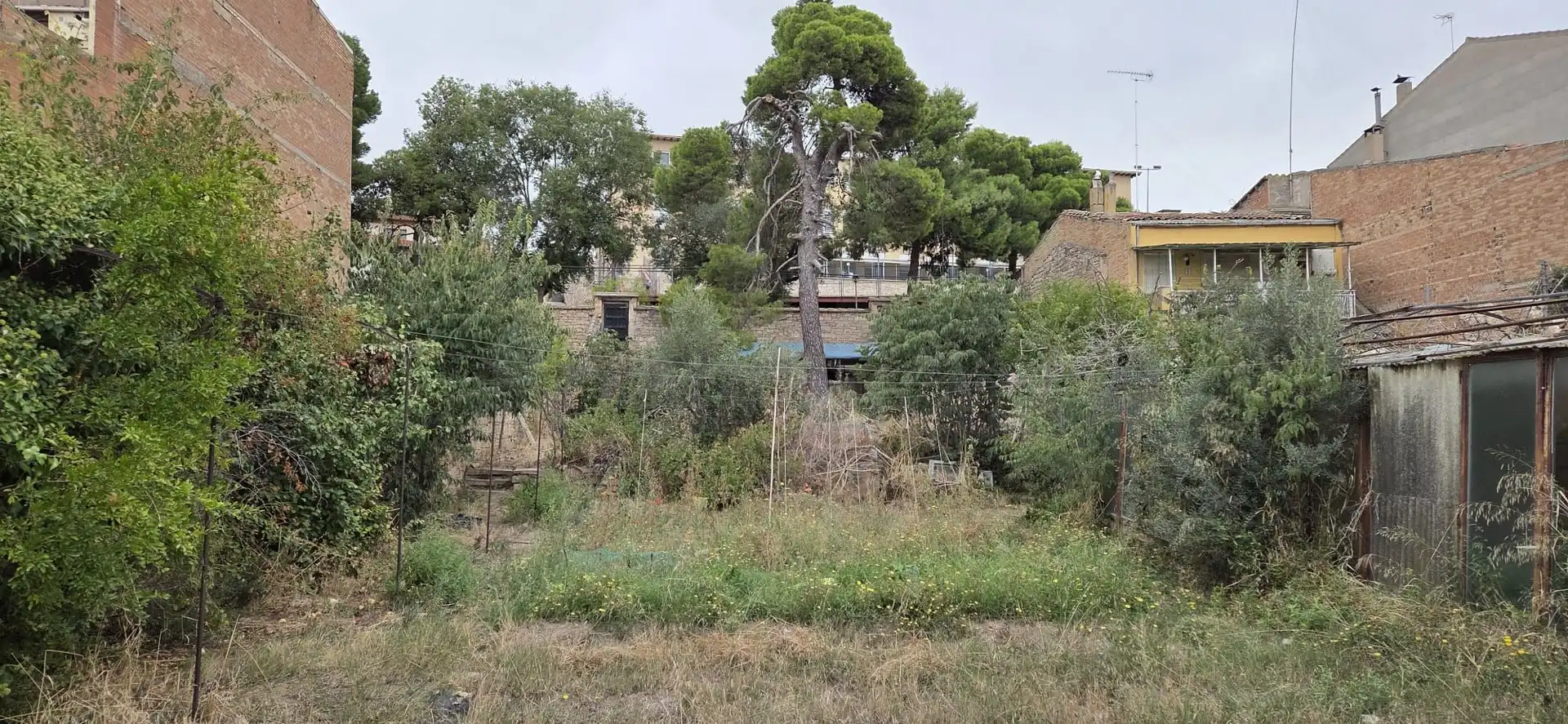 Residential land for sale in Tàrrega, imagen 3
