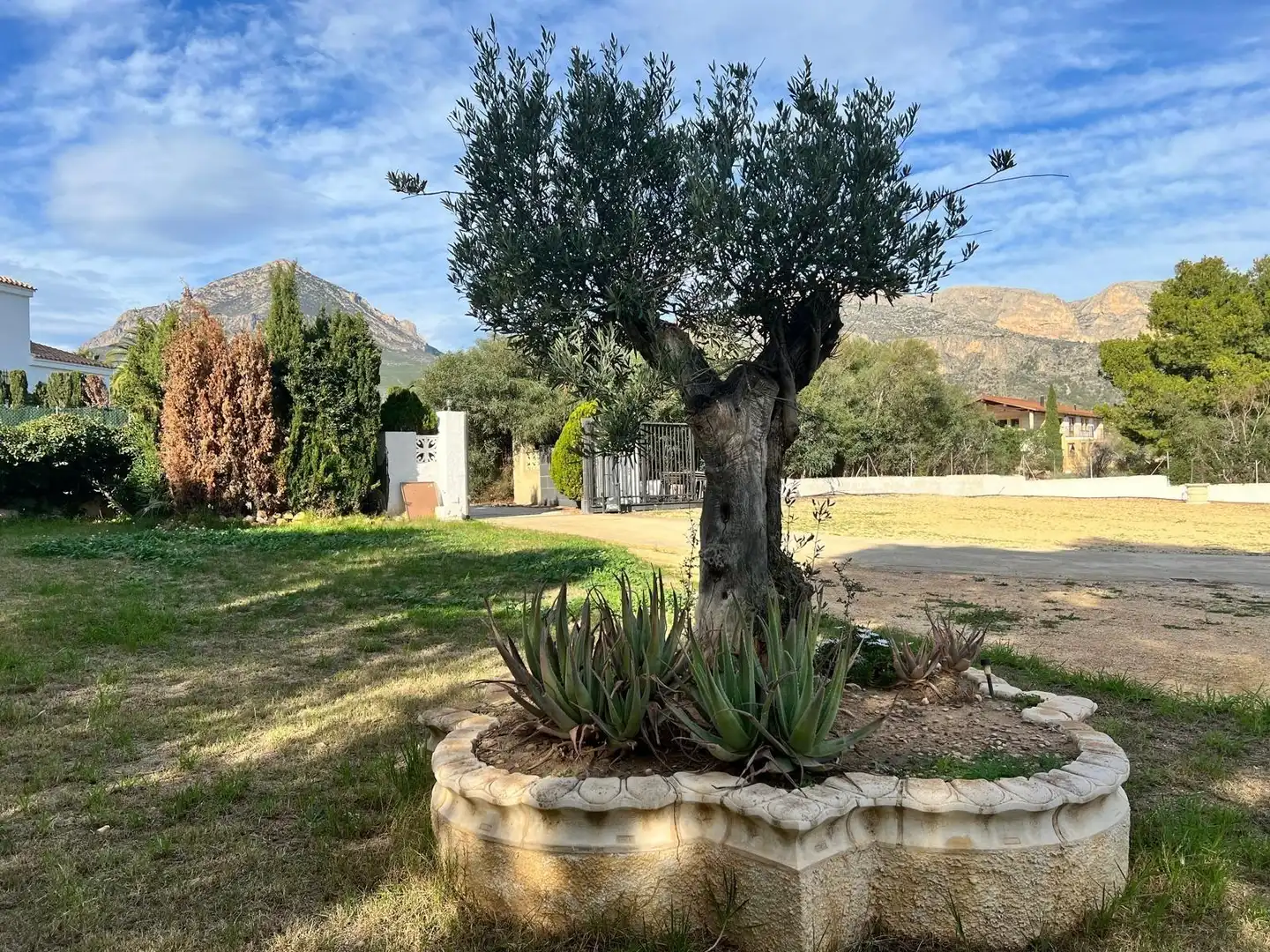 Jardí de Casa o xalet en venda en La Nucia amb Jardí privat, Terrassa i Piscina