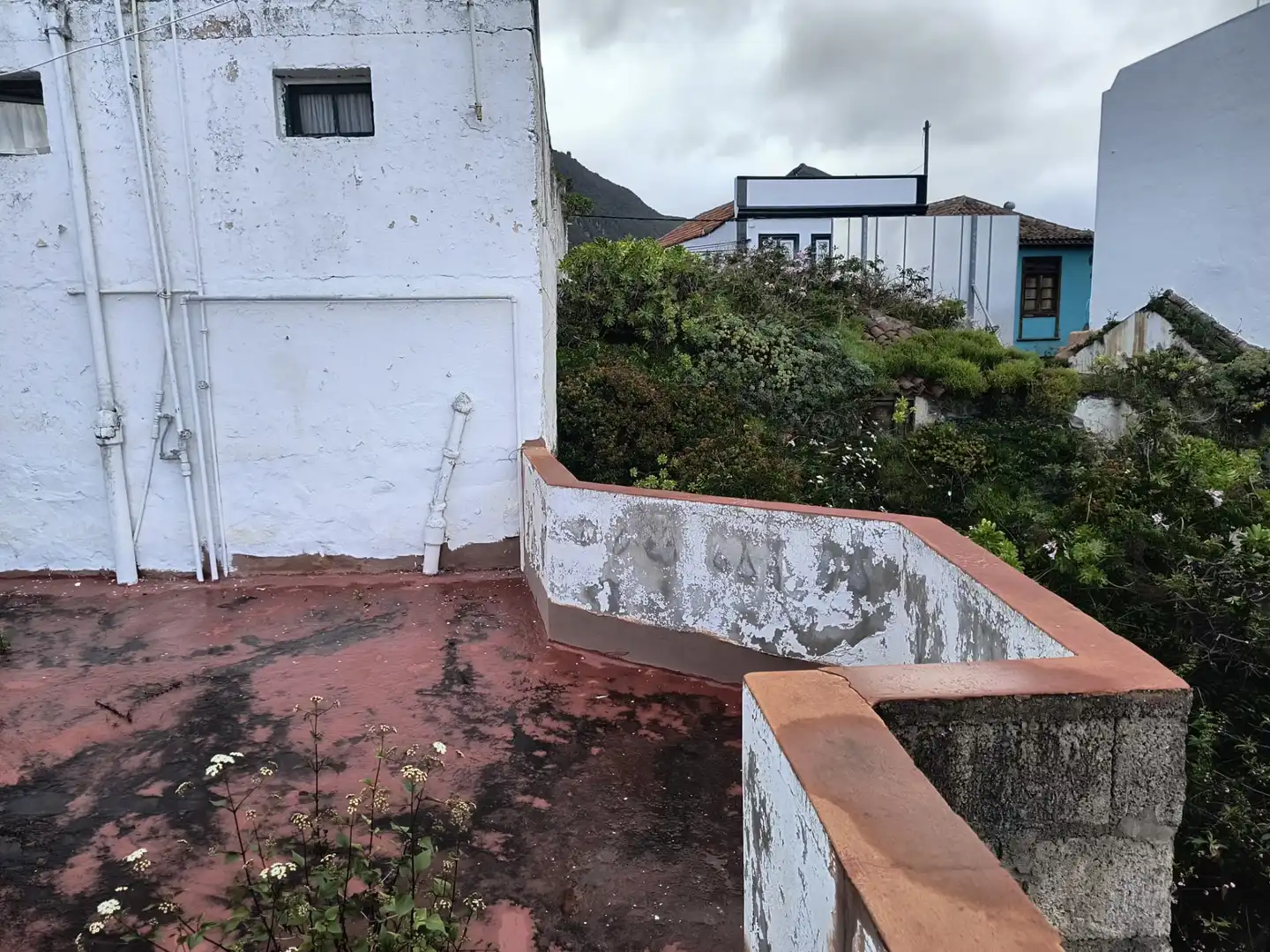 Vista exterior de Casa o chalet en venta en Los Realejos con Jardín privado, Terraza y Amueblado