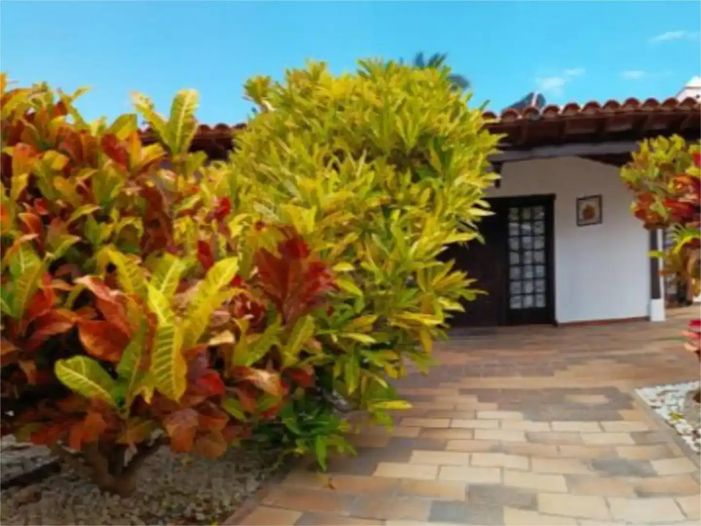 Jardí de Casa o xalet en venda en Alcalá
