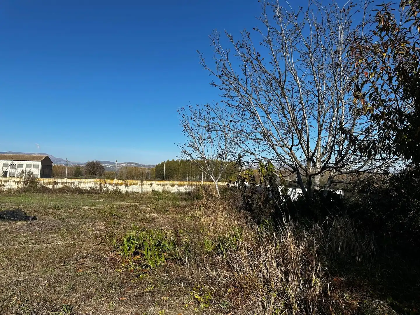 Terrains et parcelles à vendre à Fuente Vaqueros, imagen 4