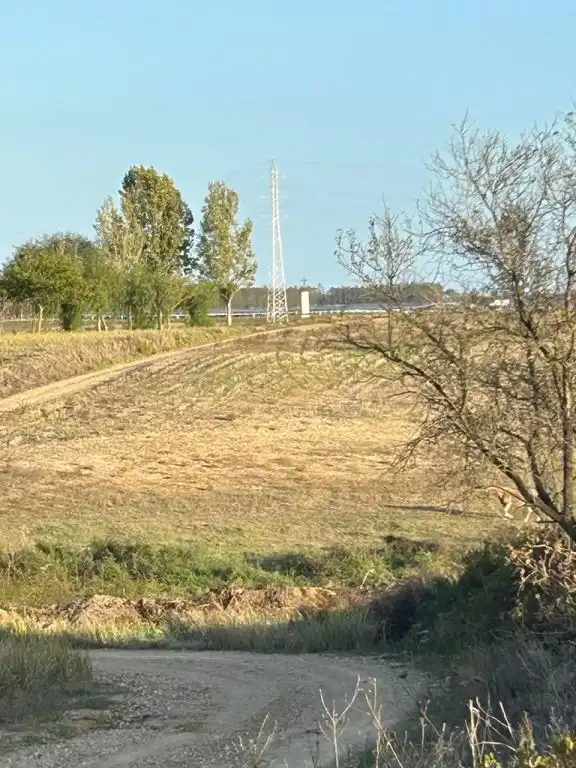 Terreni e lotti in vendita a Almonte ciudad, imagen 17