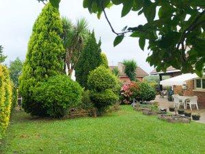 Jardí de Casa o xalet en venda en Gijón  amb Terrassa