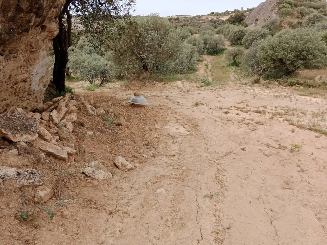 Terreni e lotti in vendita a Tamarite de Litera, imagen 4