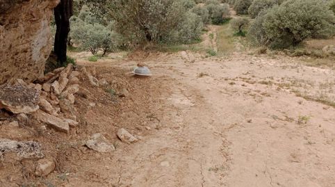 FINCA EN VENTA EN TAMARITE DE LITERA, imatge 4