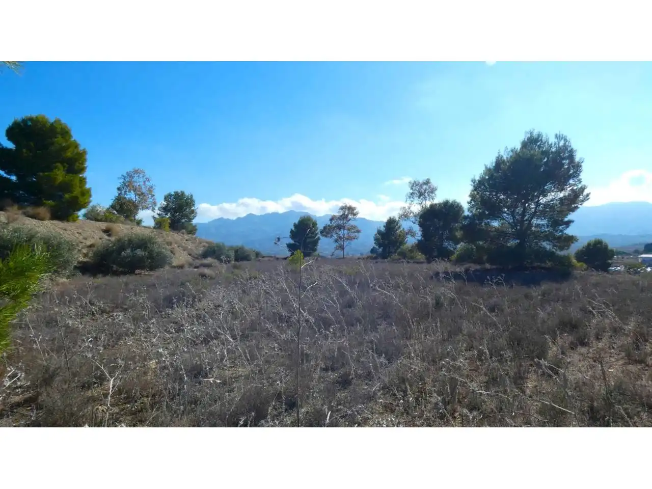 Chalet con jardín en venta en Pasaje Los Martos 1, imagen 49