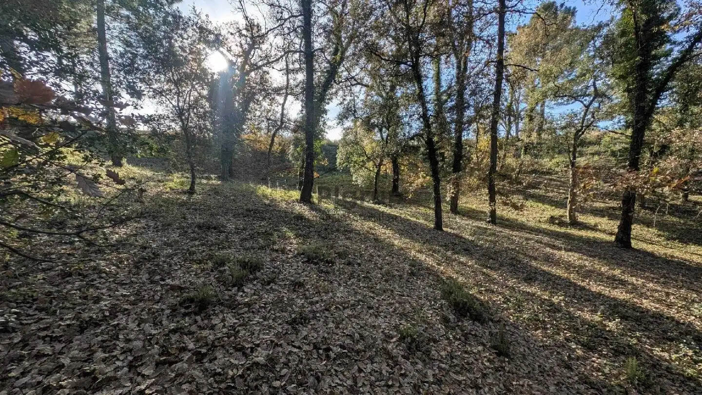 Wohnbaugrundstück zum Verkauf in Bescanó, imagen 8