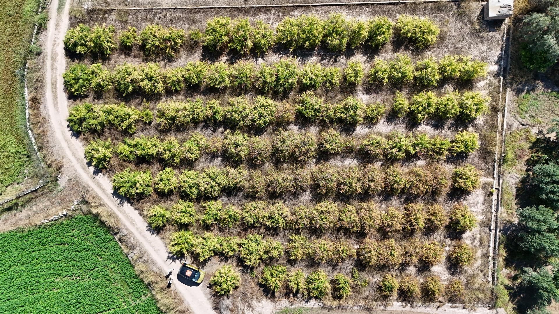 Land for sale in Llíria