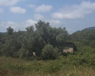 Land for sale in Mont-roig del Camp