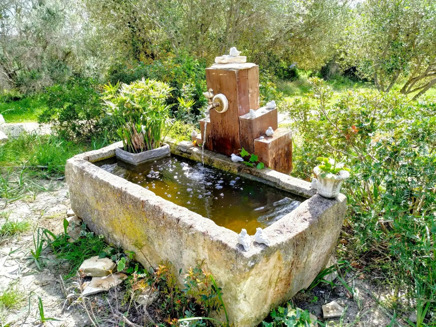 Garten von Country house zum Verkauf in Muro mit Klimaanlage, Heizung und Privatgarten