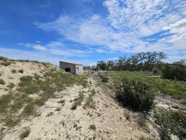 Casa-chalet en Venta en Babel