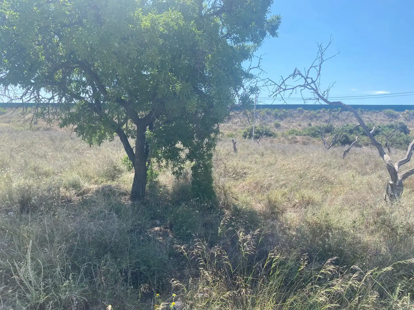 Land for sale in San Vicente del Raspeig / Sant Vicent del Raspeig