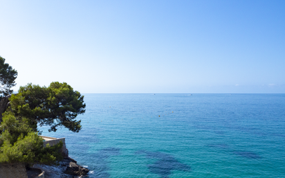 Exterior view of Attic for sale in  Palma de Mallorca  with Air Conditioner and Terrace