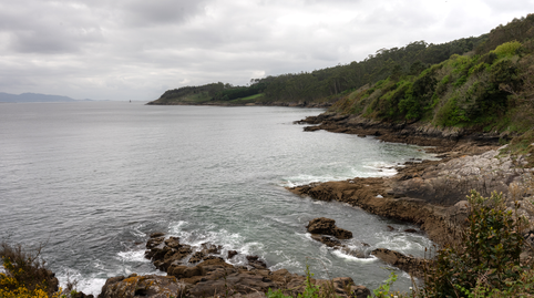Foto 4 de Finca rústica en venta en N/a, Corcubión, A Coruña