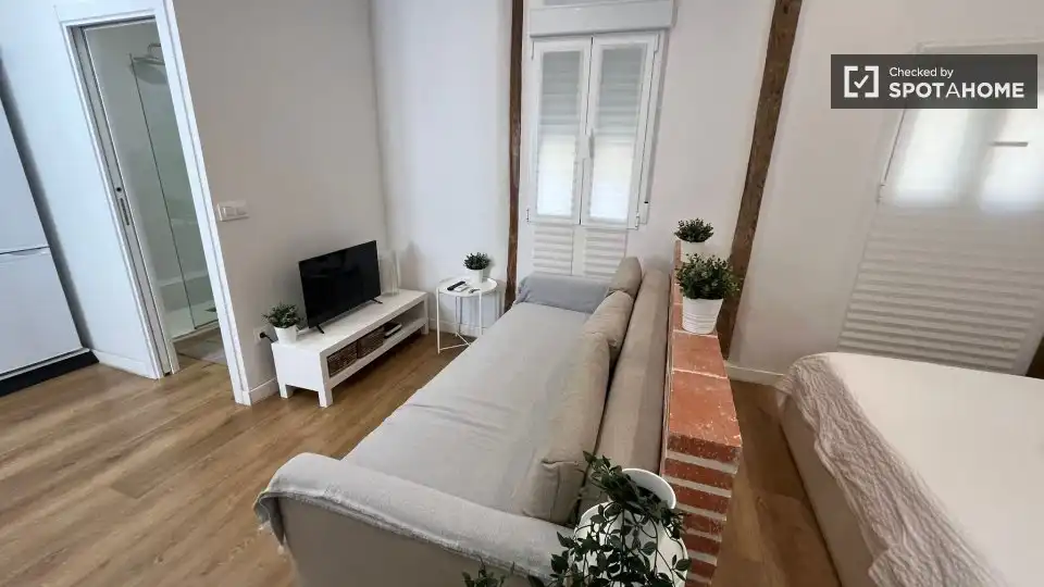 Appartement à louer à Centro, imagen 15