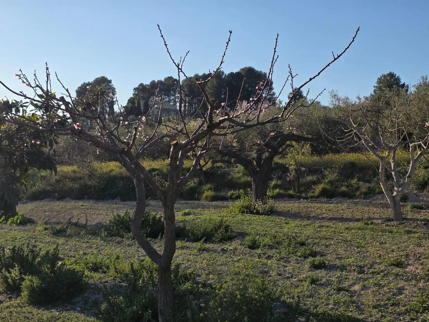 Jardí de Finca rústica en venda en Gorga amb Terrassa i Traster