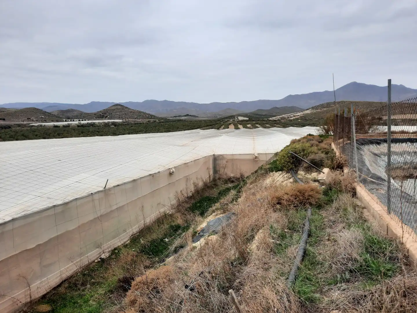 Terreny rústic en venda a Uleila del Campo, imagen 28