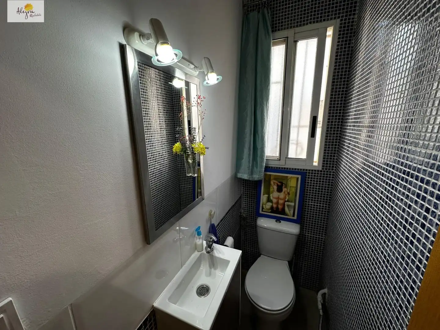 Apartments for rent in Carrer SENYERA LA, 26, Mont-Olivet