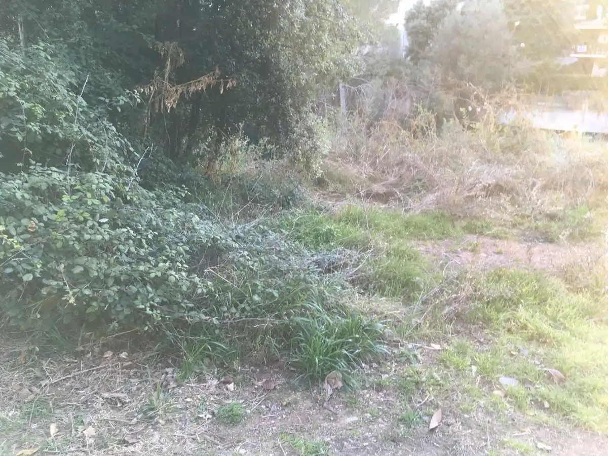 Wohnbaugrundstück zum Verkauf in El Racó - Sant Feliu del Racó, imagen 17