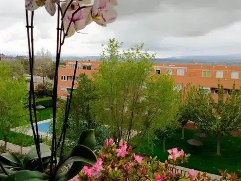 Wohnung mit Pool zum Verkauf in Calle Severo Ochoa 1, imagen 25