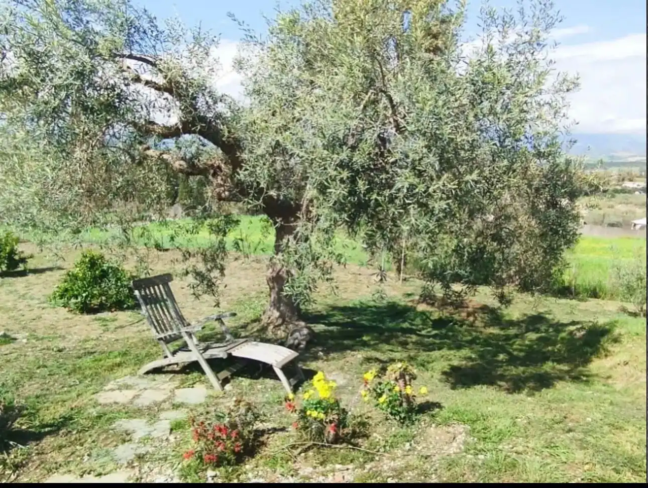 Garten von Country house zur Miete in Coín mit Privatgarten, Schwimmbad und Möbliert