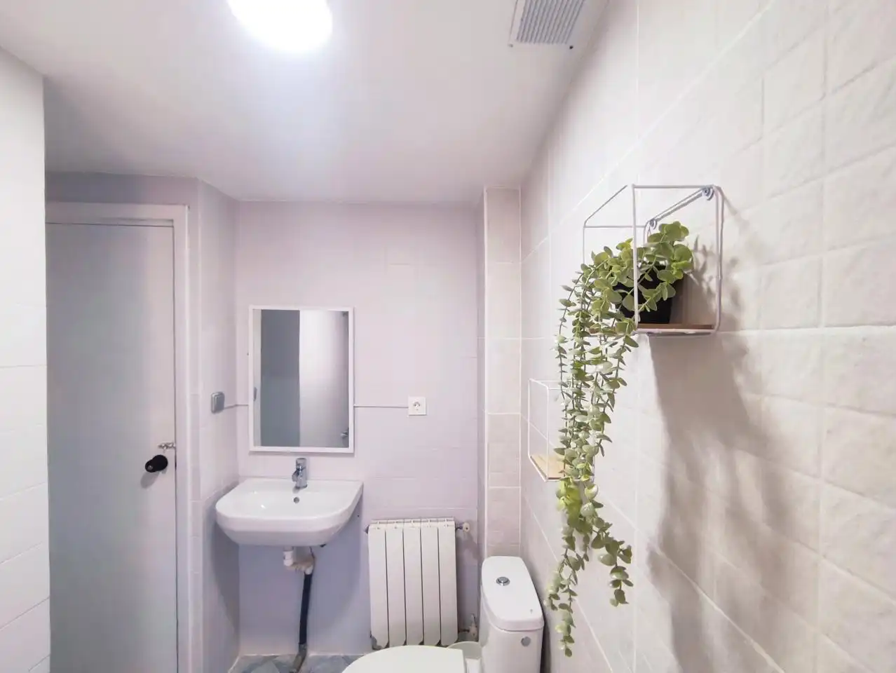 Ground floor to rent in Francisco de Paula Valladar Serrano, imagen 11