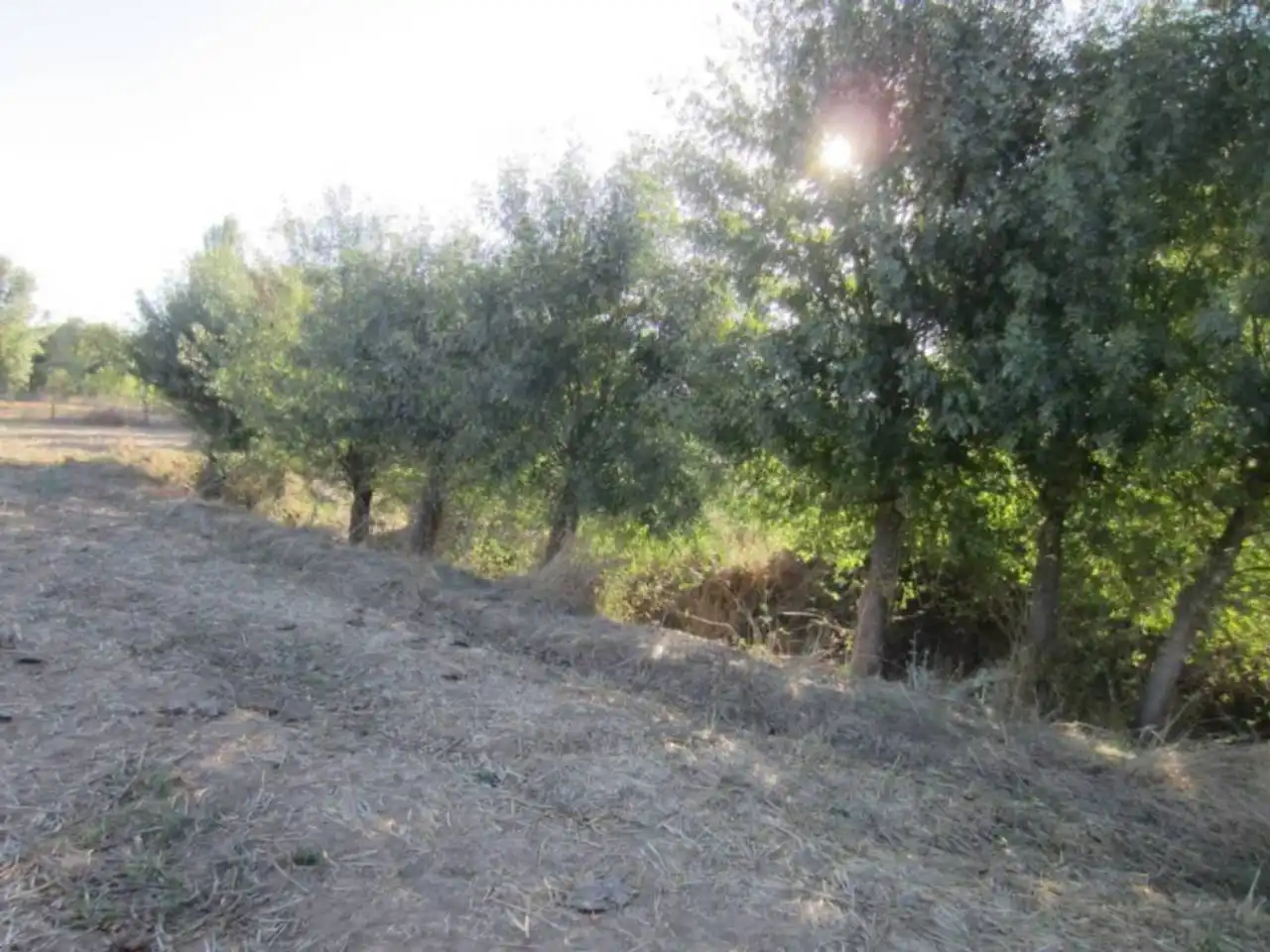 Terreno residencial en venta en Poligono 14, imagen 18