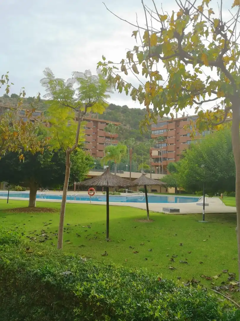 Piscina de Dúplex en venda en Alicante / Alacant amb Aire condicionat, Calefacció i Terrassa