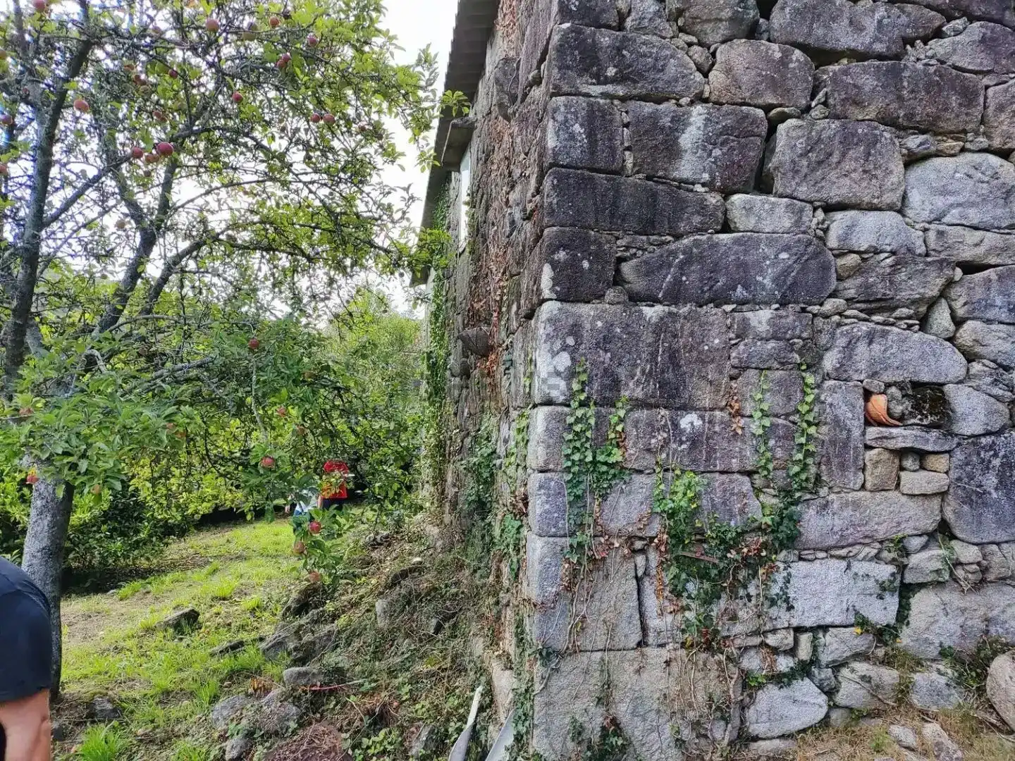 Vista exterior de Casa o xalet en venda en Dodro