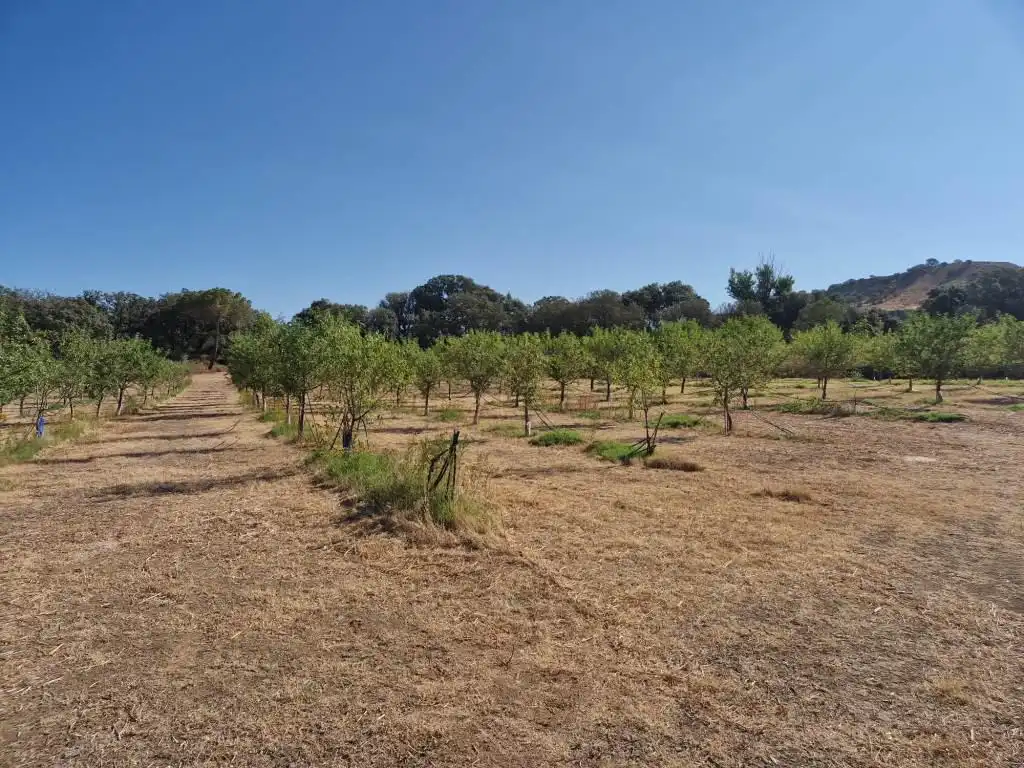 Terreno en venta en Binaced