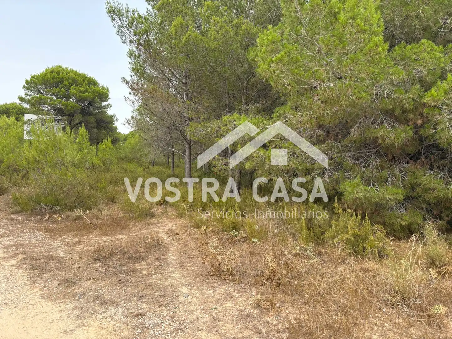 Terreno rustico in vendita a CL BADAJOZ