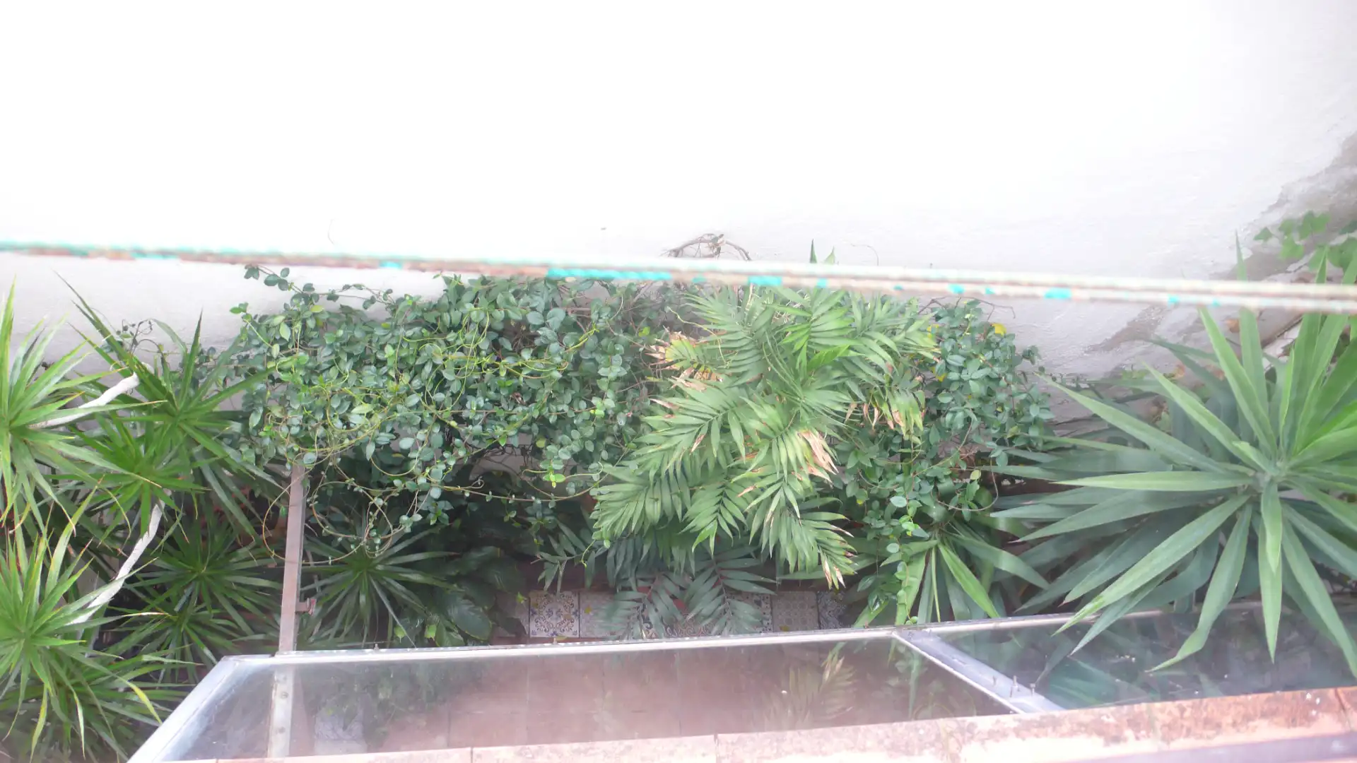 Garden of Study for sale in Sants - Montjuïc