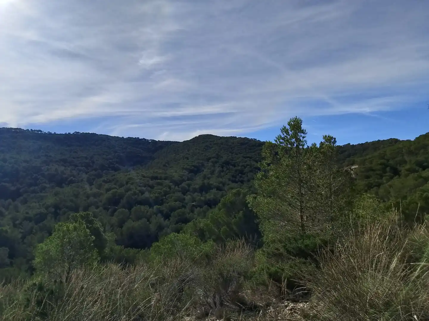 Terreno rustico in vendita a Carrer la Creu, imagen 5