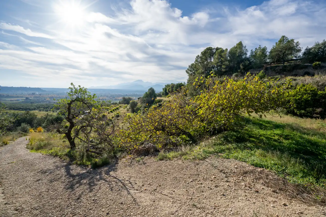 Terrain rustique à vendre à T-301 57, imagen 13