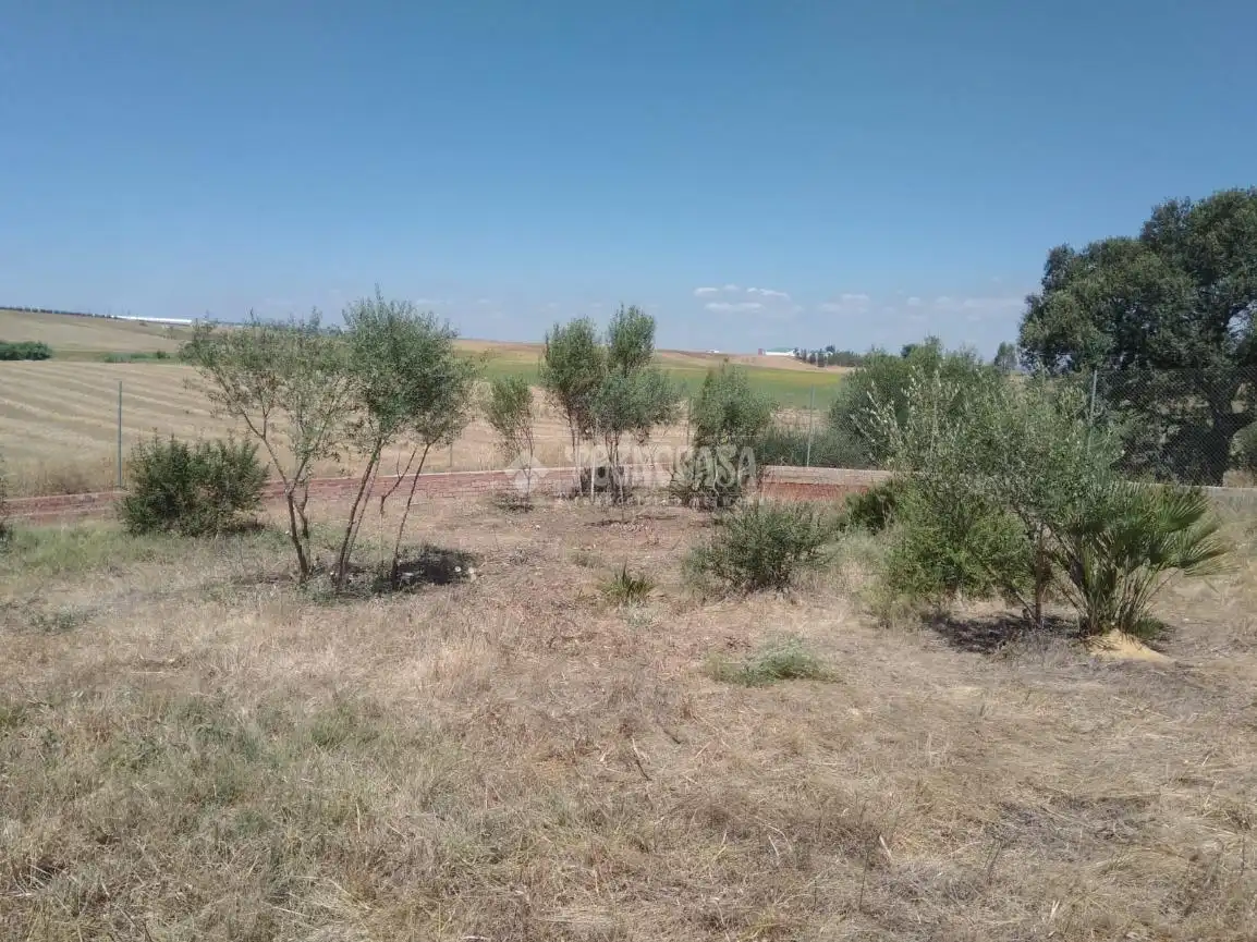 Terreny residencial en venda a Sanlúcar la Mayor, imagen 6