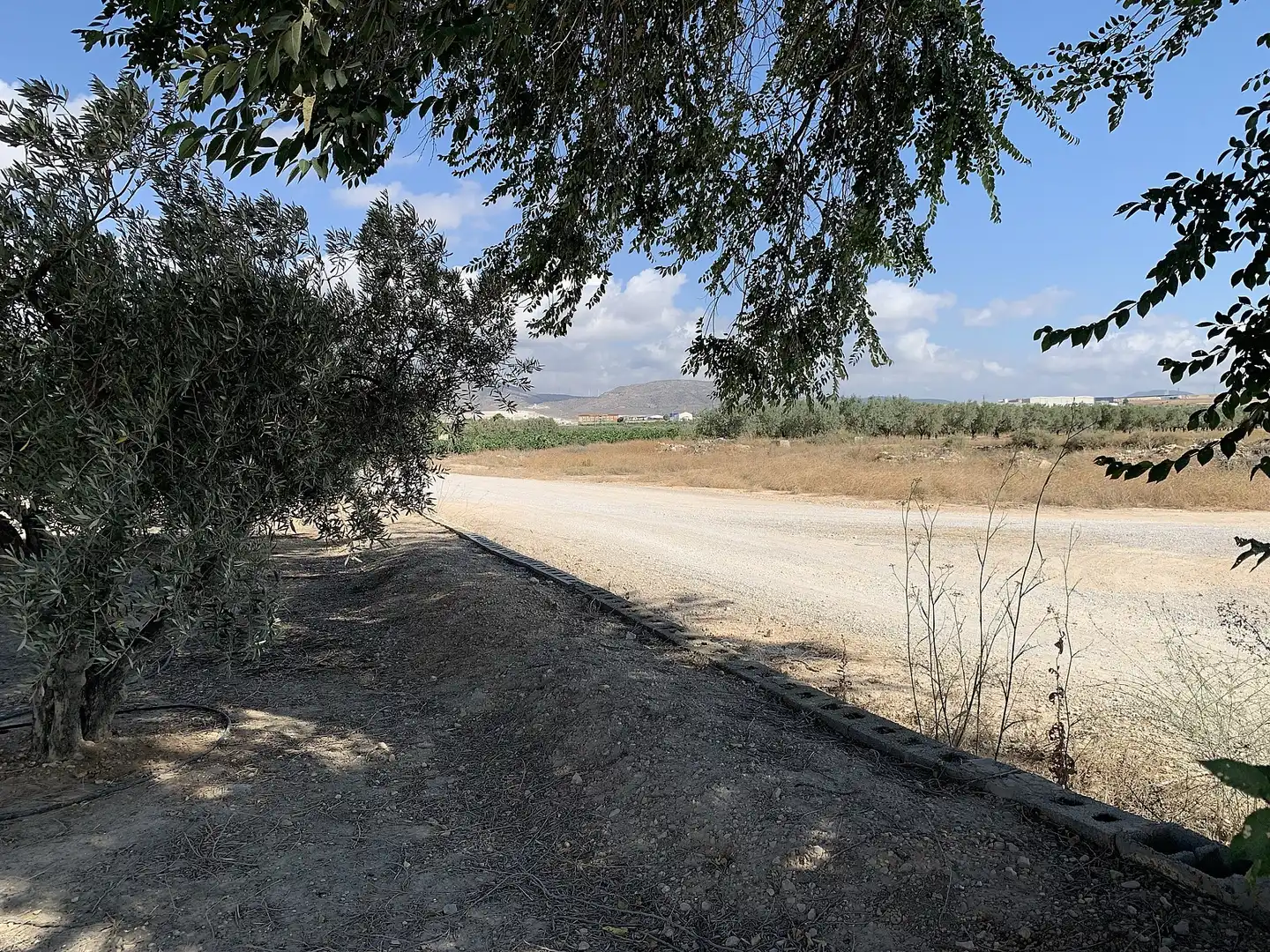 Casa o xalet en venda en Caudete amb Jardí privat i Internet
