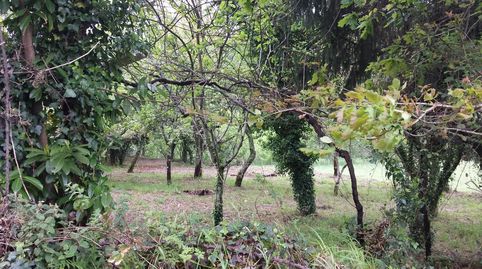 Foto 4 de Finca rústica en venta en Lugar Vinseiro, 19, A Estrada , Pontevedra
