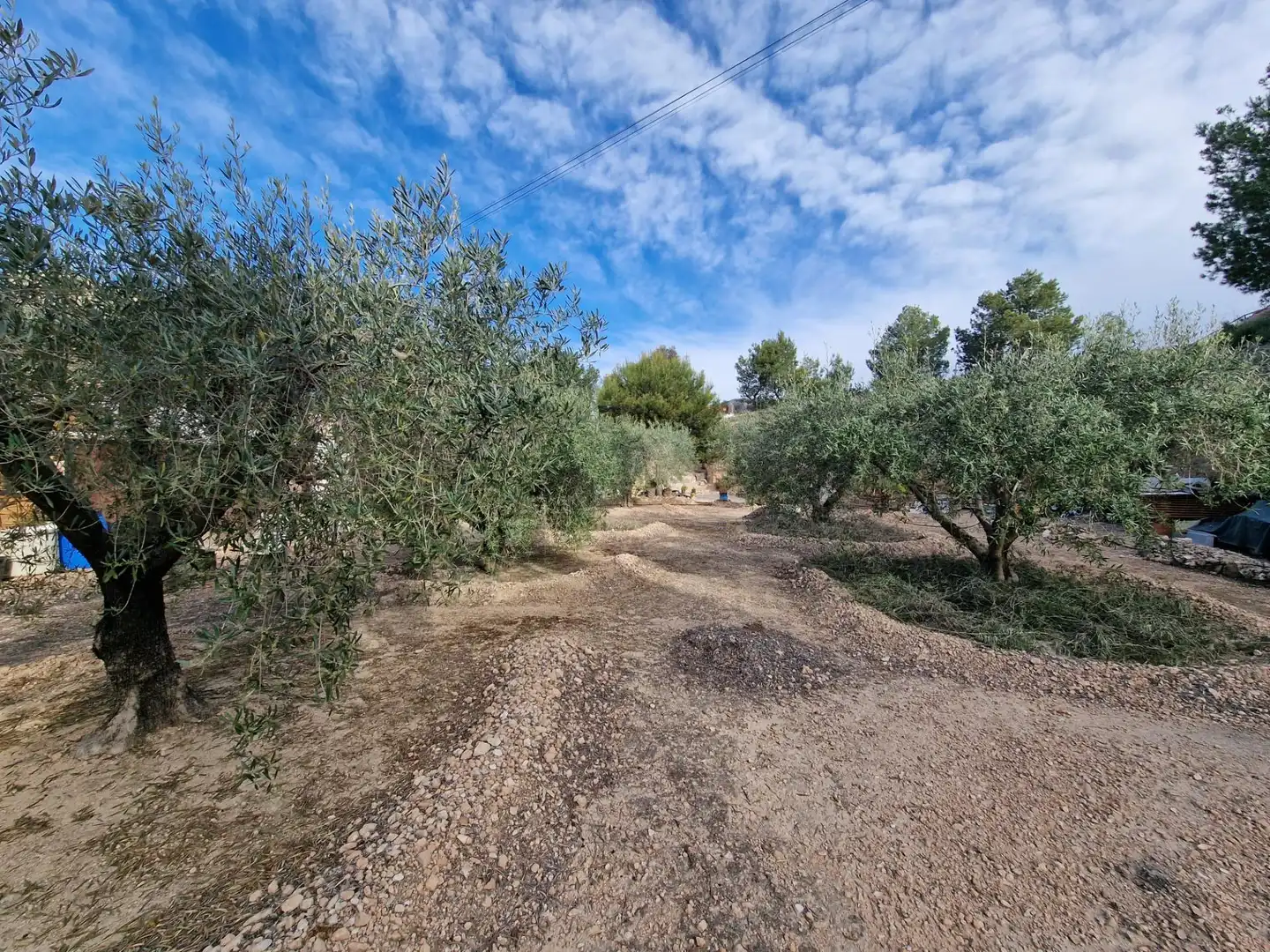 Finca rústica en venda en Hondón de las Nieves / El Fondó de les Neus