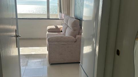 Photo 5 of Study to rent in Calle Dehesa de las Marismillas (hotel Flamero), Caño Guerrero, Huelva